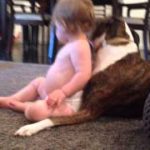 Thumbnail of post image 013