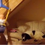 Thumbnail of post image 035