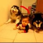 Thumbnail of post image 054