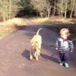 Thumbnail of post image 003