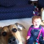 Thumbnail of post image 157