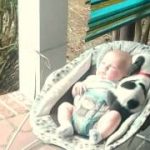 Thumbnail of post image 040