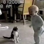Thumbnail of post image 061