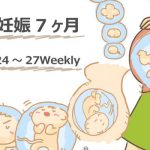 妊娠7ヶ月