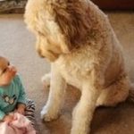 Thumbnail of post image 118