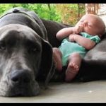 Thumbnail of post image 018